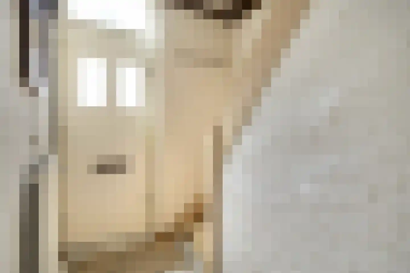 Van Dijckstraat 9 Tilburg thumbnail 6