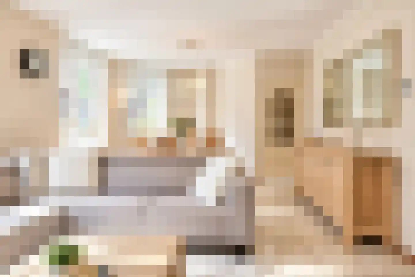 Van Dijckstraat 9 Tilburg thumbnail 9
