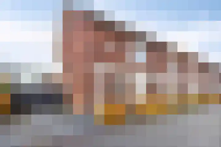 Van Dijkerf 1 Veenendaal