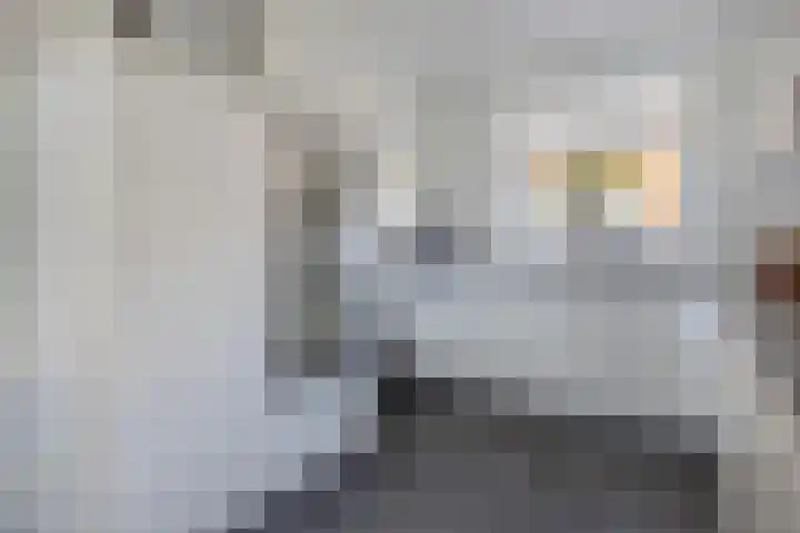 Van Dijkerf 1 Veenendaal thumbnail 15