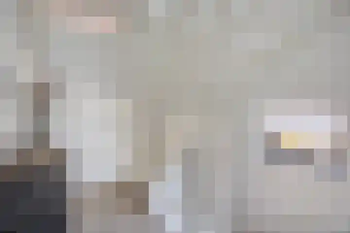 Van Dijkerf 1 Veenendaal thumbnail 16
