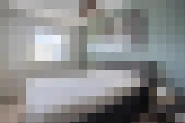 Van Dijkerf 1 Veenendaal thumbnail 17