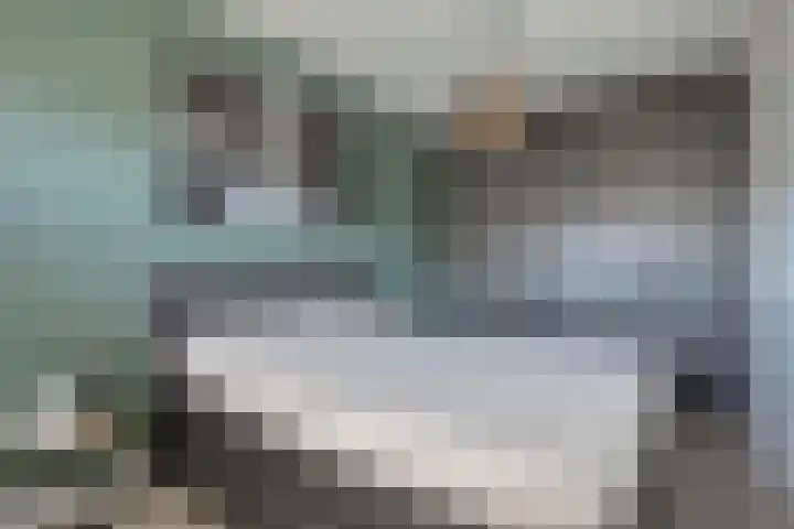 Van Dijkerf 1 Veenendaal thumbnail 18