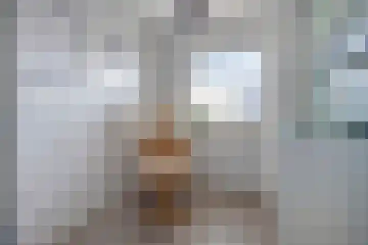 Van Dijkerf 1 Veenendaal thumbnail 20