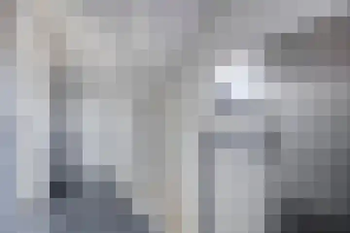 Van Dijkerf 1 Veenendaal thumbnail 23