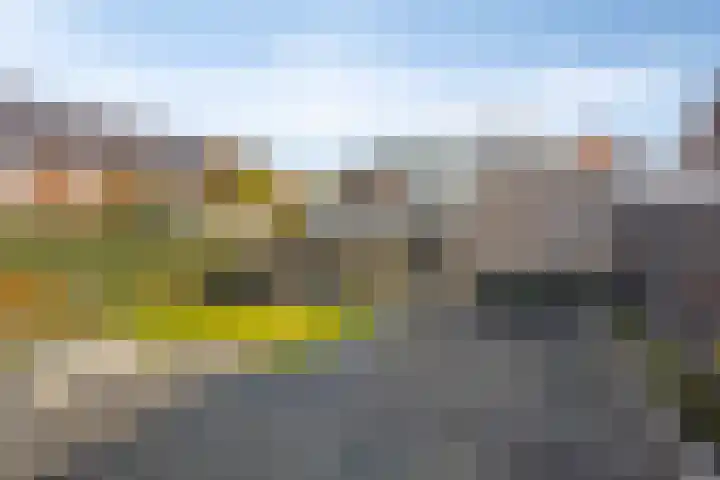 Van Dijkerf 1 Veenendaal thumbnail 26