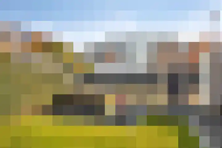Van Dijkerf 1 Veenendaal thumbnail 27