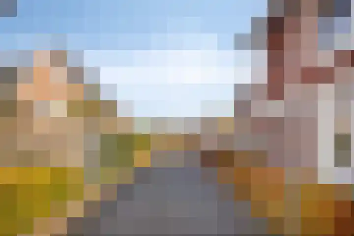 Van Dijkerf 1 Veenendaal thumbnail 29