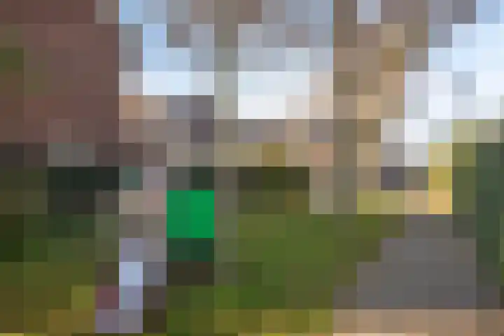 Van Dijkerf 1 Veenendaal thumbnail 30