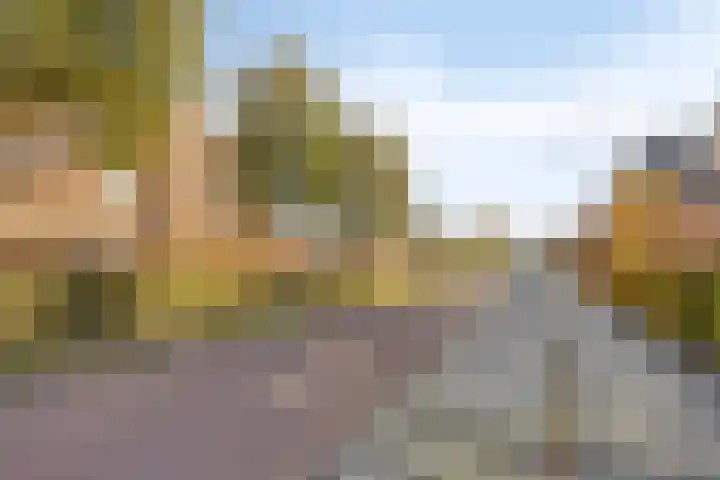Van Dijkerf 1 Veenendaal thumbnail 31