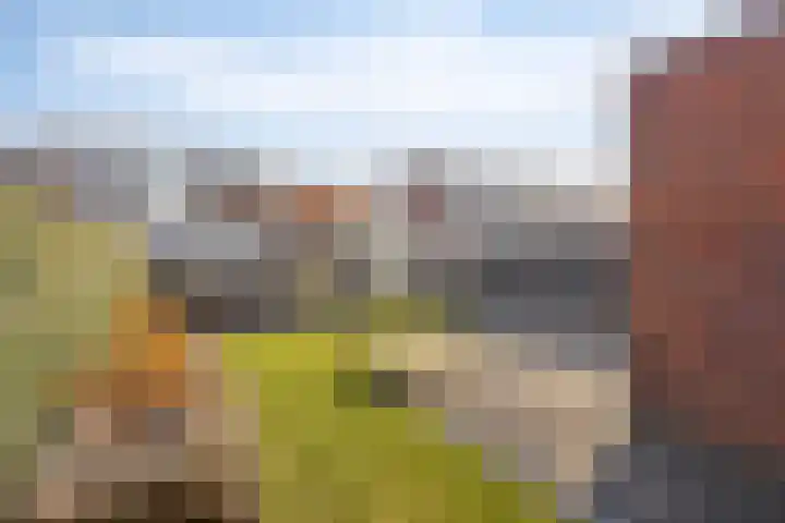Van Dijkerf 1 Veenendaal thumbnail 5
