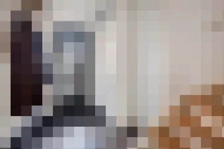 Van Dijkerf 1 Veenendaal thumbnail 7