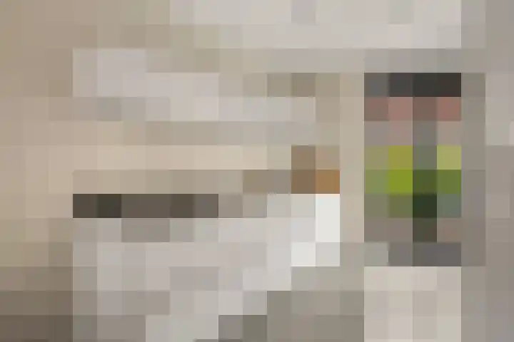 Van Dijkerf 6 Veenendaal thumbnail 10