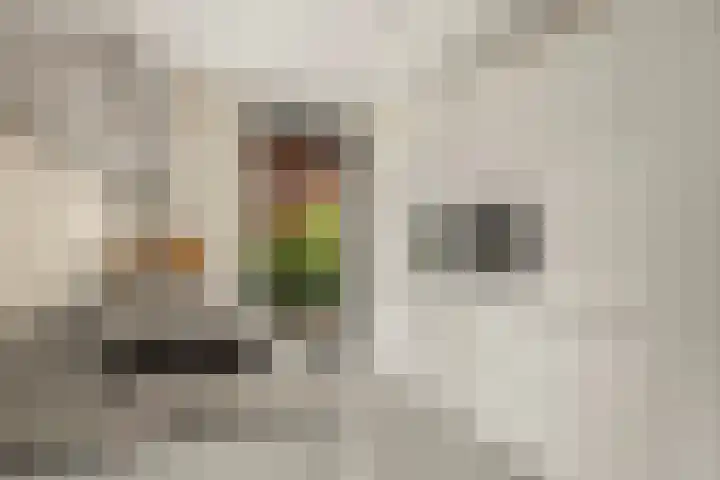 Van Dijkerf 6 Veenendaal thumbnail 11
