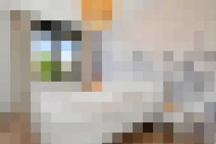 Van Dijkerf 6 Veenendaal thumbnail 17