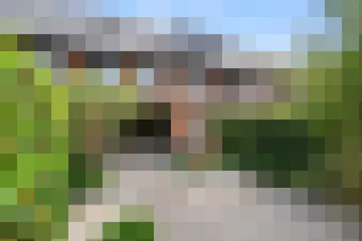 Van Dijkerf 6 Veenendaal foto 2