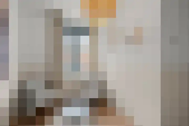 Van Dijkerf 6 Veenendaal thumbnail 23