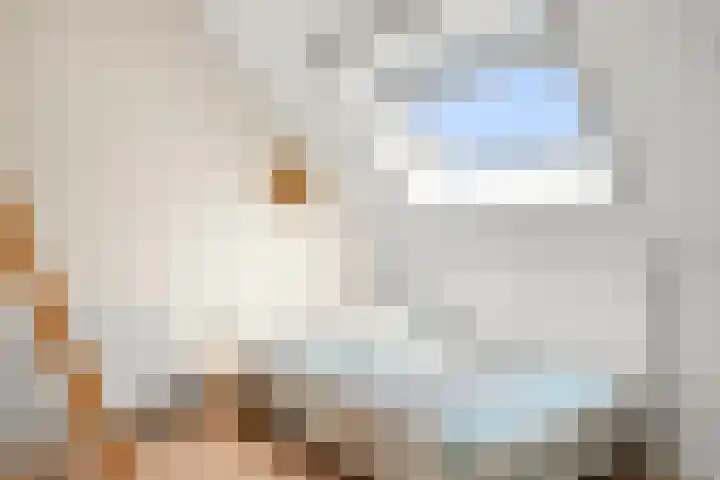 Van Dijkerf 6 Veenendaal thumbnail 31