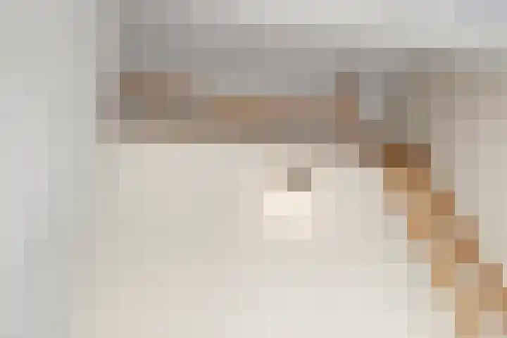 Van Dijkerf 6 Veenendaal thumbnail 33