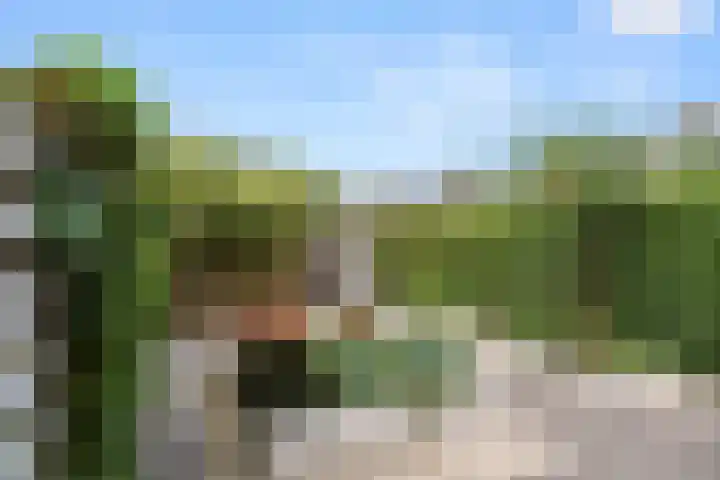 Van Dijkerf 6 Veenendaal thumbnail 40