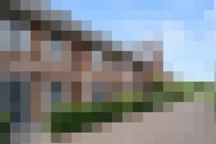 Van Dijkerf 6 Veenendaal thumbnail 44