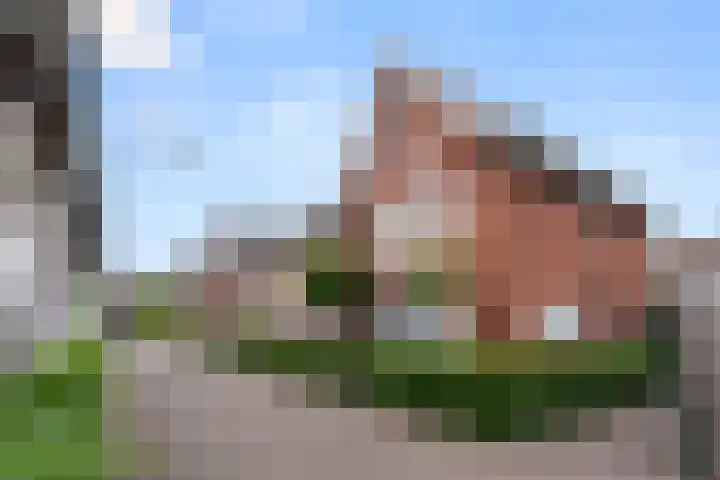 Van Dijkerf 6 Veenendaal thumbnail 45
