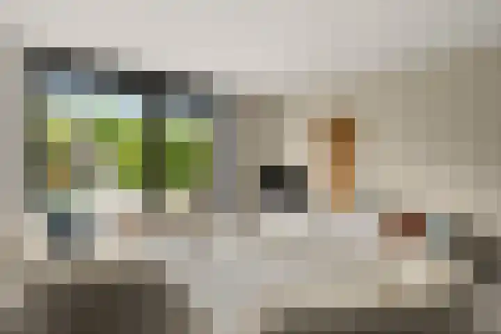 Van Dijkerf 6 Veenendaal thumbnail 5