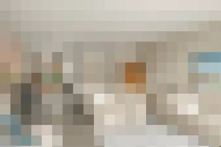 Van Dijkerf 6 Veenendaal thumbnail 6