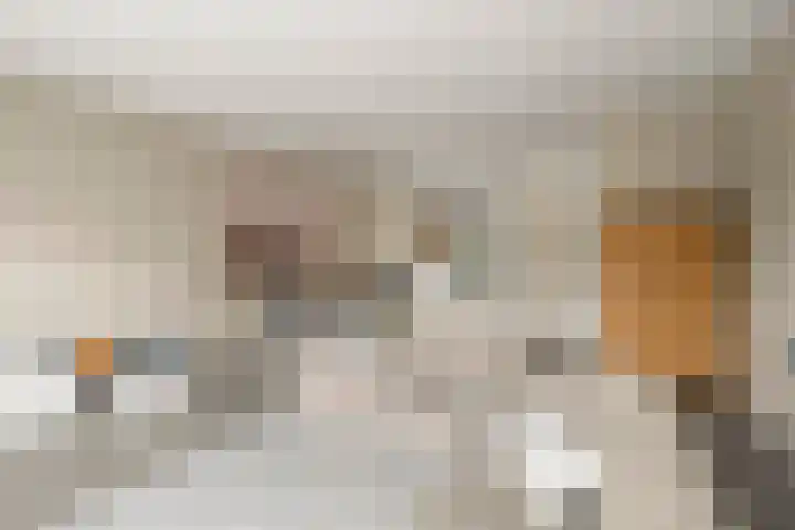 Van Dijkerf 6 Veenendaal thumbnail 8
