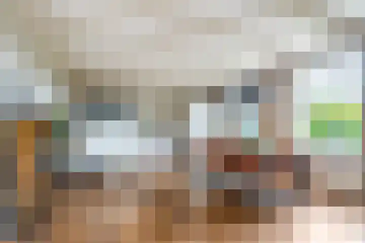 Van Dijkhuizenstraat 10 Nijkerkerveen thumbnail 13