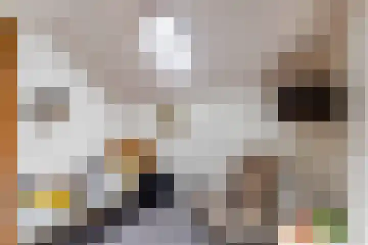 Van Dijkhuizenstraat 10 Nijkerkerveen thumbnail 21