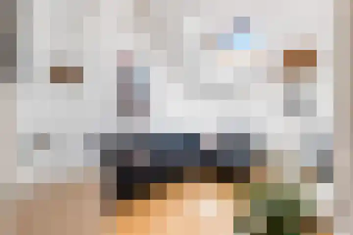 Van Dijkhuizenstraat 10 Nijkerkerveen thumbnail 22