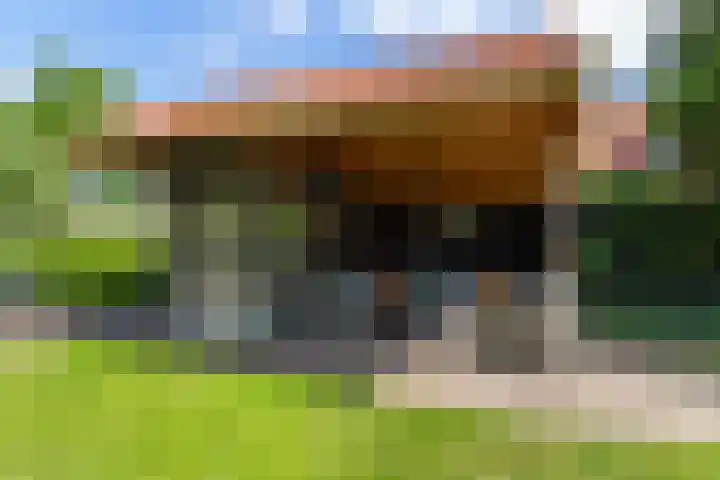 Van Dijkhuizenstraat 10 Nijkerkerveen thumbnail 30
