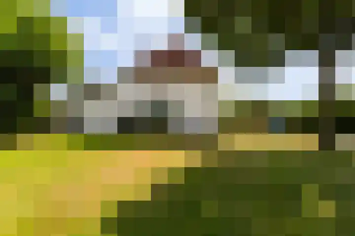 Van Dijkhuizenstraat 10 Nijkerkerveen thumbnail 31
