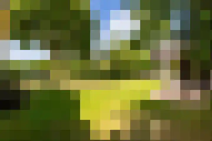 Van Dijkhuizenstraat 10 Nijkerkerveen thumbnail 32