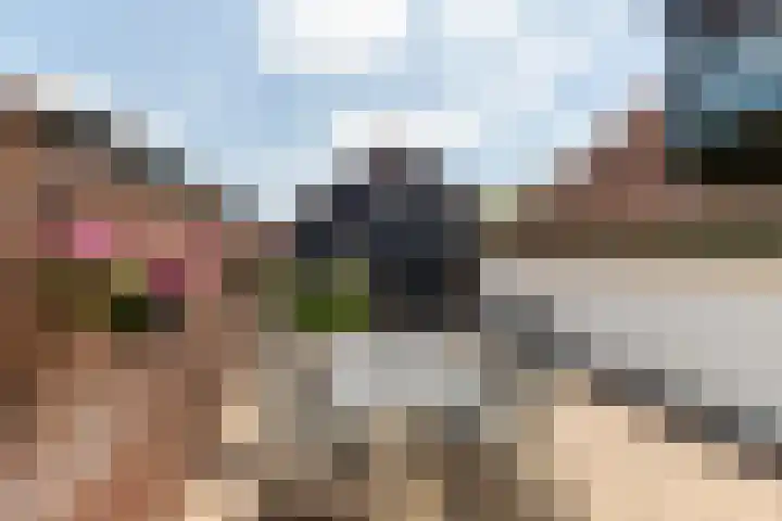 Van Dijkhuizenstraat 10 Nijkerkerveen thumbnail 34