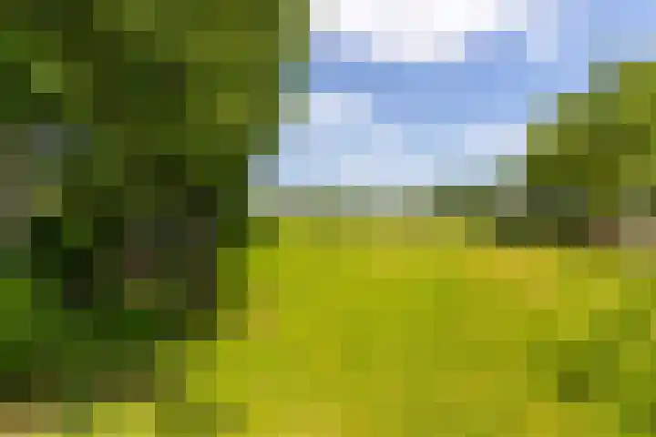 Van Dijkhuizenstraat 10 Nijkerkerveen thumbnail 35