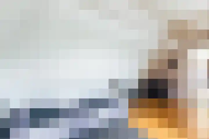 Van Dijkhuizenstraat 10 Nijkerkerveen thumbnail 44