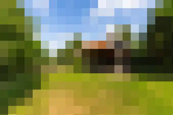 Van Dijkhuizenstraat 10 Nijkerkerveen thumbnail 5
