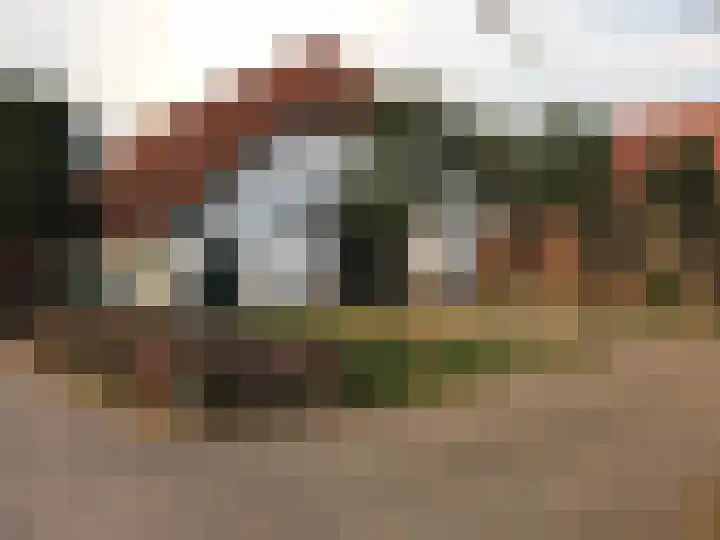 Van Dijkhuizenstraat 10 Nijkerkerveen thumbnail 50