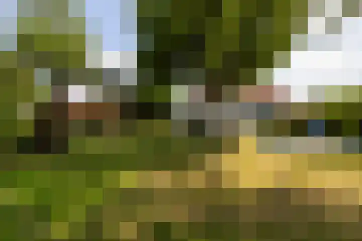 Van Dijkhuizenstraat 10 Nijkerkerveen thumbnail 58