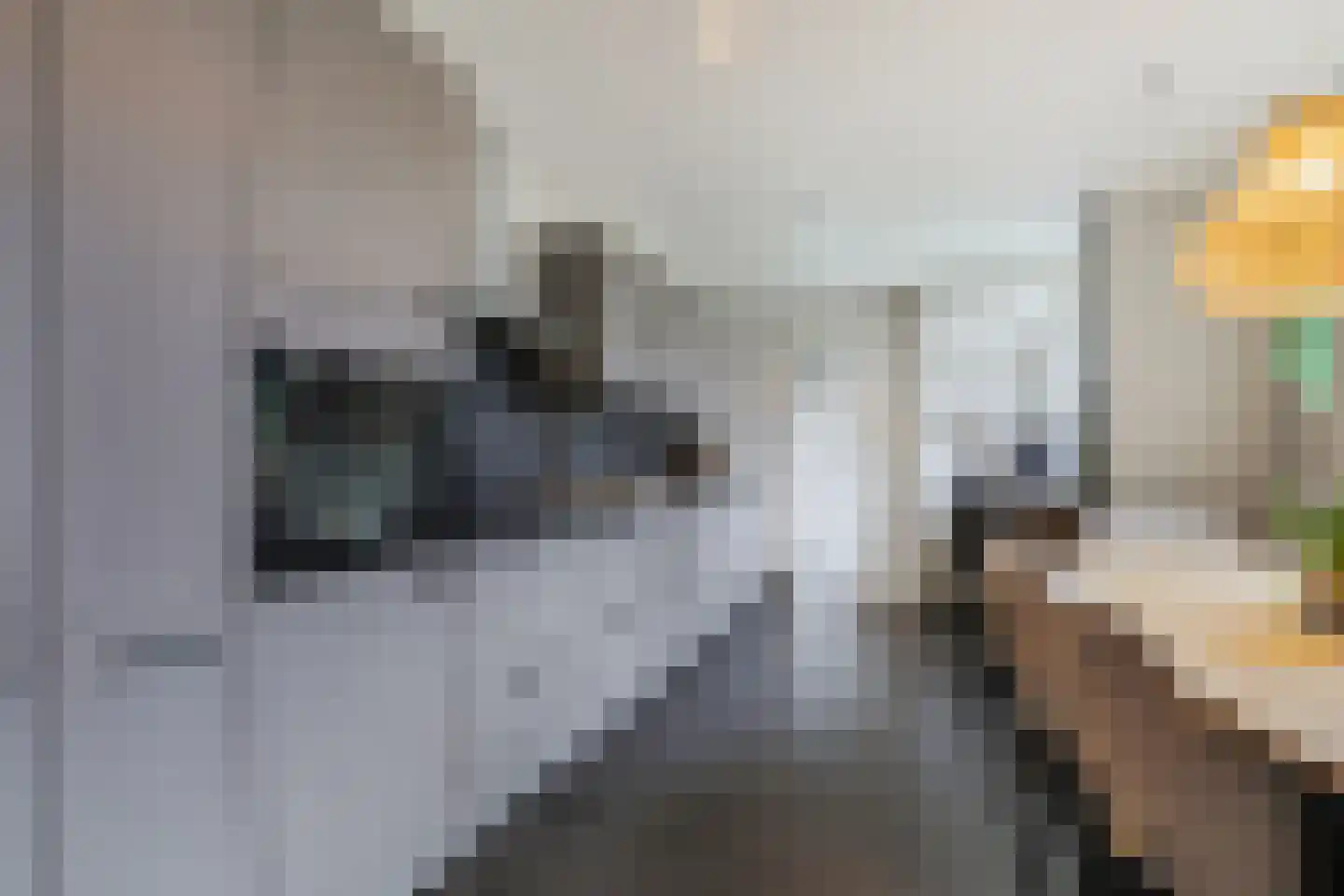 Van Dijkhuizenstraat 33 Nijkerkerveen thumbnail 10