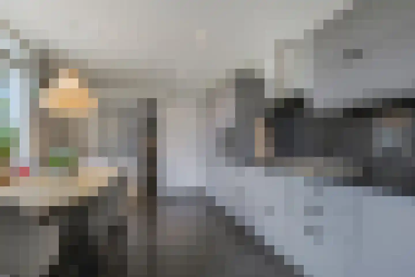 Van Dijkhuizenstraat 33 Nijkerkerveen thumbnail 12
