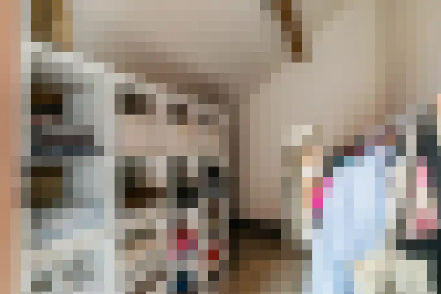 Van Dijkhuizenstraat 33 Nijkerkerveen thumbnail 30