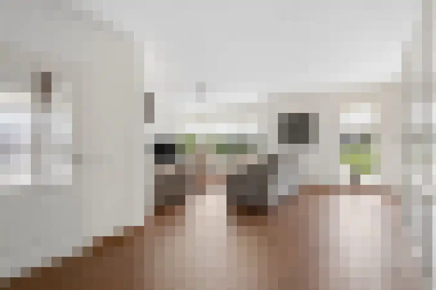 Van Dijkhuizenstraat 38 Nijkerkerveen thumbnail 12