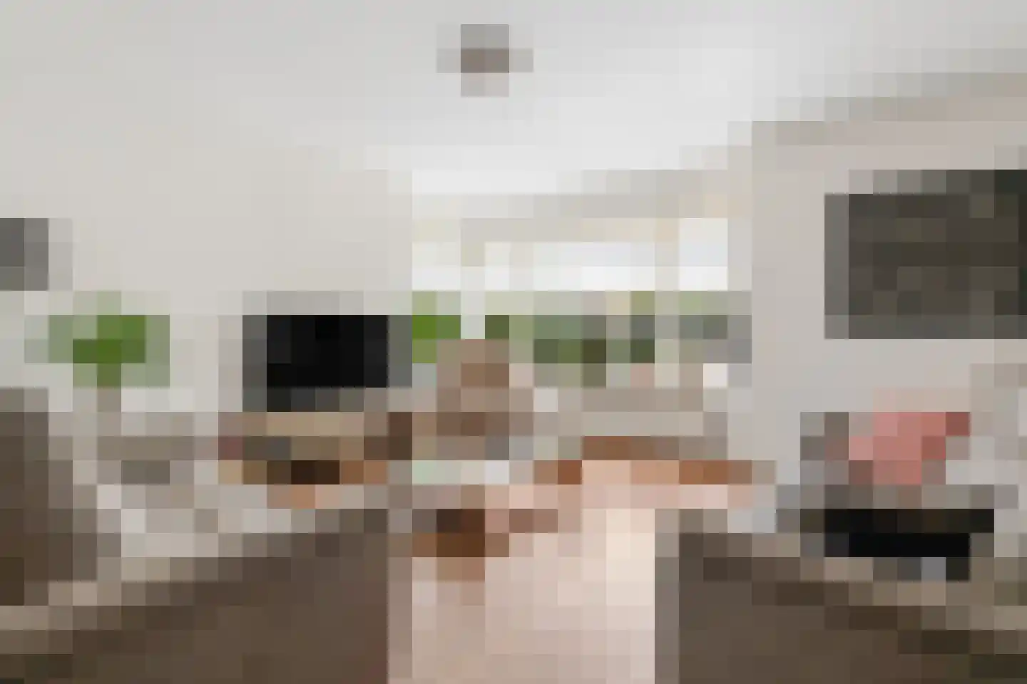 Van Dijkhuizenstraat 38 Nijkerkerveen thumbnail 13