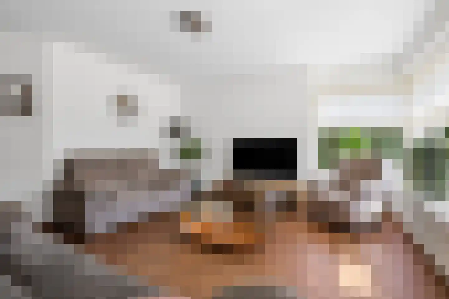 Van Dijkhuizenstraat 38 Nijkerkerveen thumbnail 15
