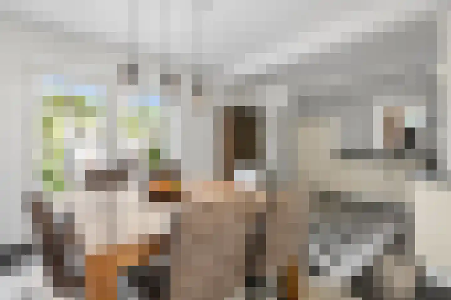 Van Dijkhuizenstraat 38 Nijkerkerveen thumbnail 18