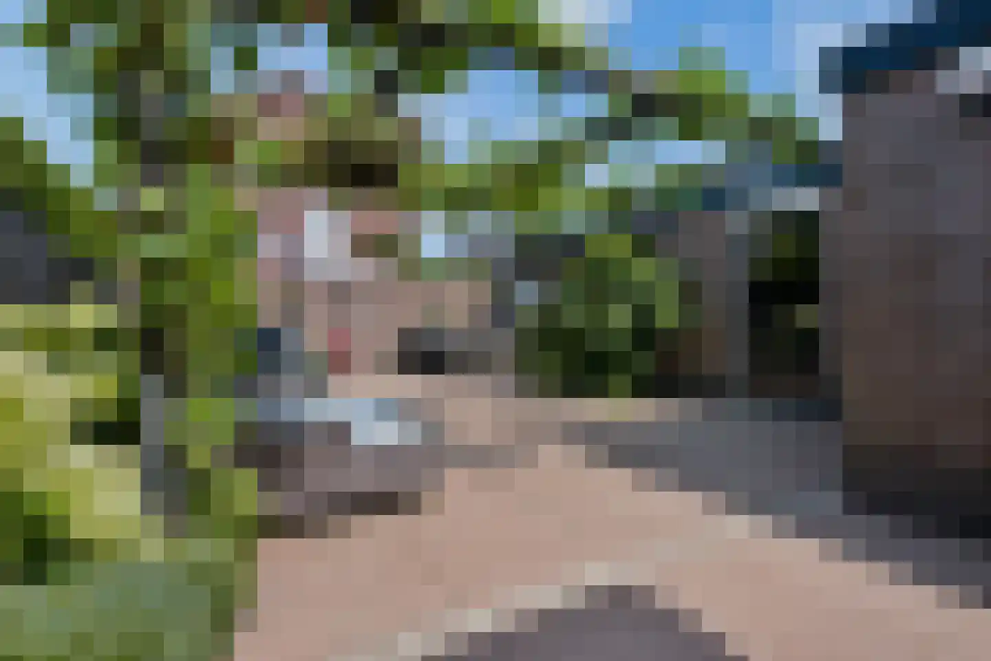 Van Dijkhuizenstraat 38 Nijkerkerveen thumbnail 27