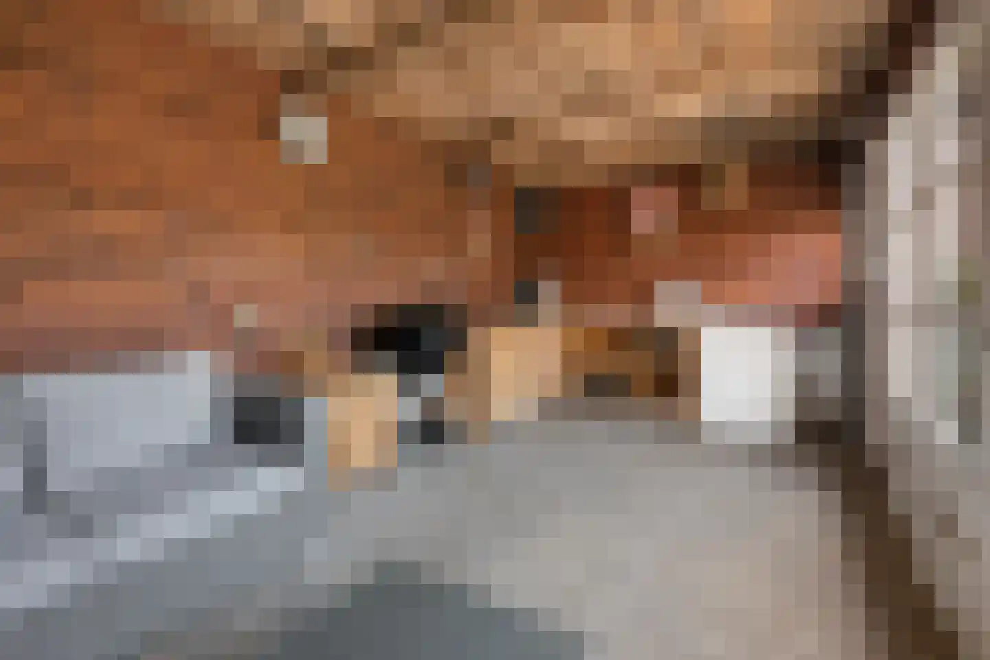 Van Dijkhuizenstraat 38 Nijkerkerveen thumbnail 34